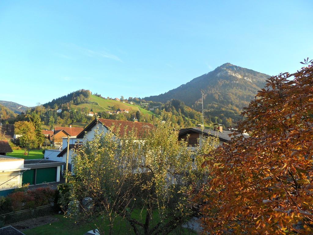 Ferienwohnung Lilly Дорнбірн Номер фото